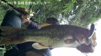 �֥�å��Х�