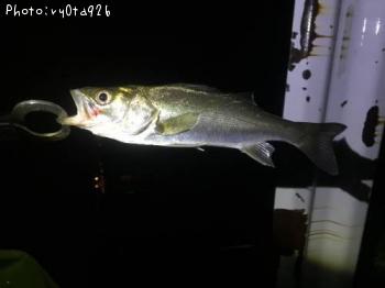 �����Х�