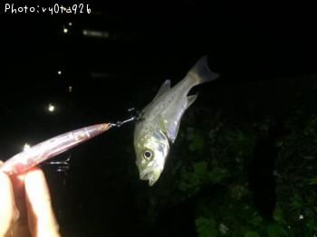 �����Х�