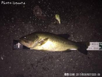 �֥�å��Х�