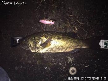 �֥�å��Х�