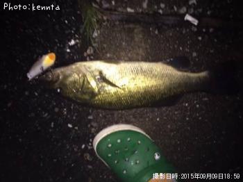 �֥�å��Х�