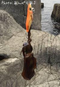 �����ꥤ��