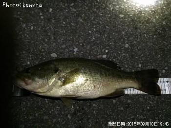 �֥�å��Х�