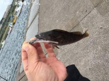 �����ʥ�