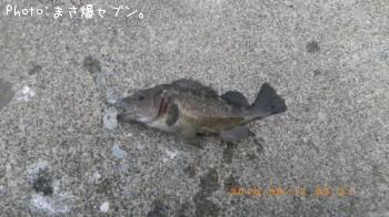 ������Х�