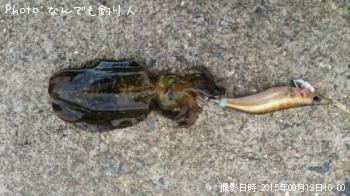 �����ꥤ��