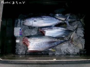 ����Хˡ��ڥ��ϥ��ޥ�����