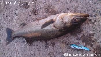 �����Х�