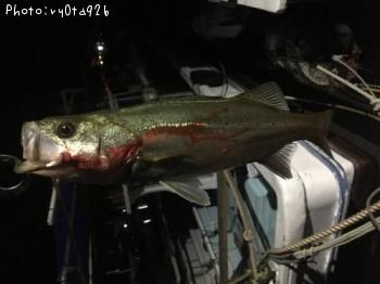 �����Х�