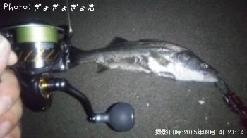 �����Х�