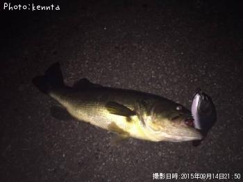 ¥Ö¥é¥Ã¥¯¥Ð¥¹