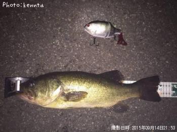 ¥Ö¥é¥Ã¥¯¥Ð¥¹