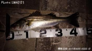 �����Х�