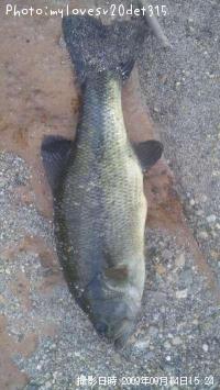 ¥Ö¥é¥Ã¥¯¥Ð¥¹