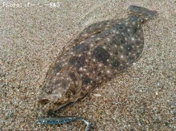 �ҥ��ʥ�����