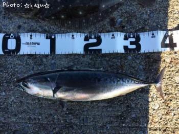 ���������ĥ�