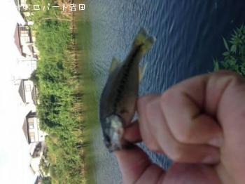 �֥�å��Х�