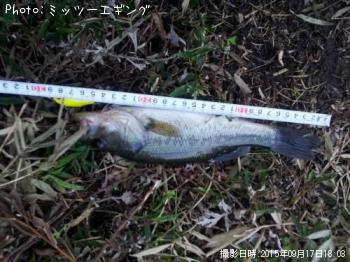 ¥Ö¥é¥Ã¥¯¥Ð¥¹