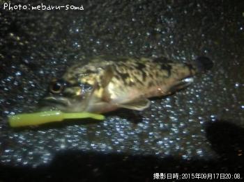 ¥Ù¥Ã¥³¥¦¥½¥¤