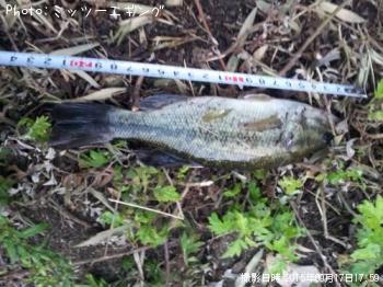 �֥�å��Х�