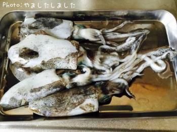 ¥¢¥ª¥ê¥¤¥«