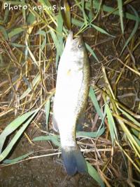 �֥�å��Х�