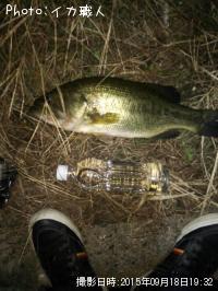 ¥Ö¥é¥Ã¥¯¥Ð¥¹