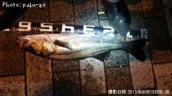 �����Х�