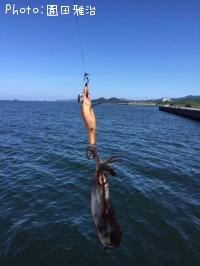 �����ꥤ��