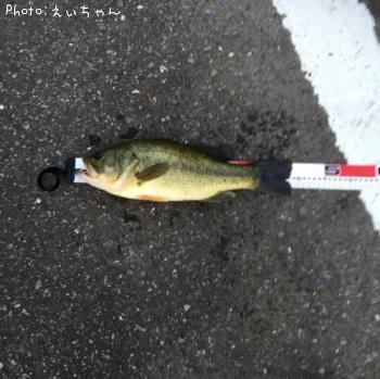 ¥Ö¥é¥Ã¥¯¥Ð¥¹