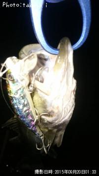 �����Х�