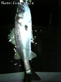 �ӣ��£���