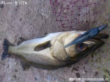 �����Х�