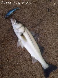 �����Х�