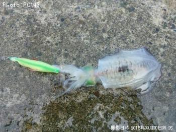 �����ꥤ��