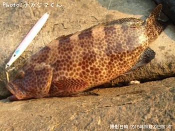 �������ϥ�