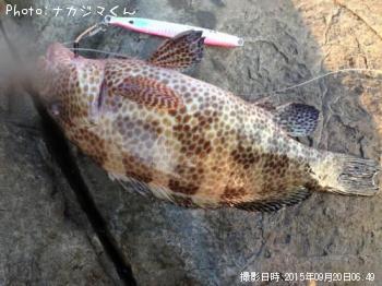 �������ϥ�