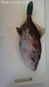 ���ޥť�ϥ�