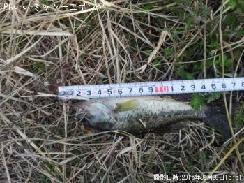 �֥�å��Х�