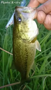 �֥�å��Х���