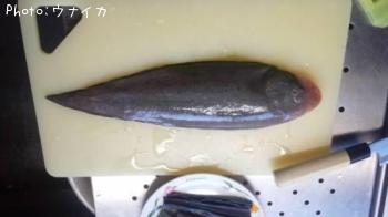 �����ӥ��