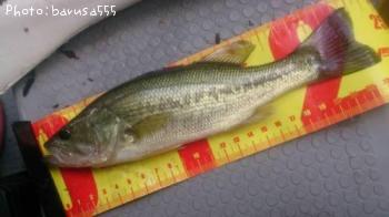 ¥Ö¥é¥Ã¥¯¥Ð¥¹