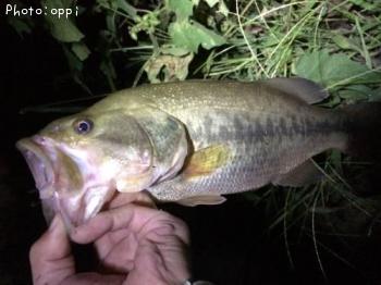 �֥�å��Х�