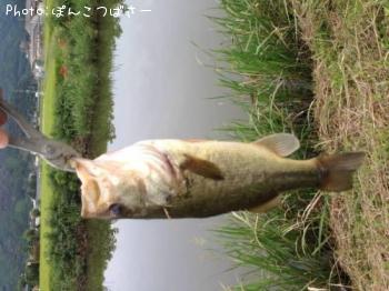 �֥�å��Х�