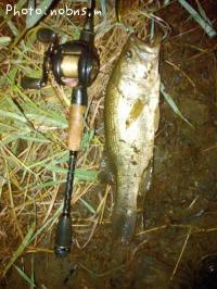 ¥Ö¥é¥Ã¥¯¥Ð¥¹