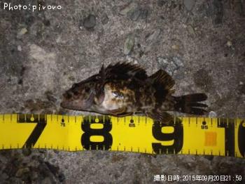 �����Υ���Х�