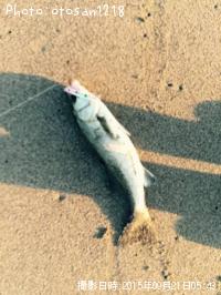 �����Х�