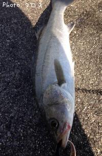 �����Х�