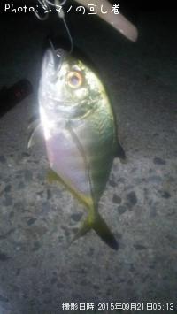 ��å�����